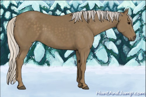 Horse Color:Silver Smoky Black 