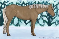 Horse Color:Silver Smoky Black 