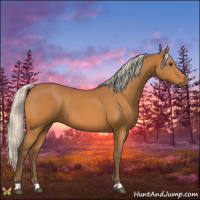 Horse Color:Silver Buckskin 