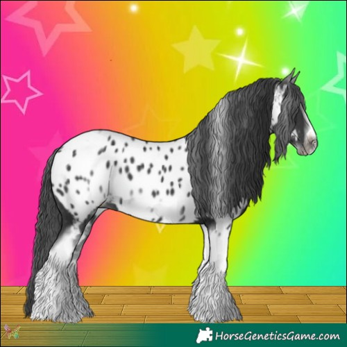 Horse Color:White Spotted Black Splash Tobiano Frame Appaloosa