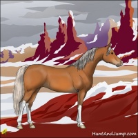 Horse Color:Silver Buckskin 