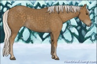 Horse Color:Silver Smoky Black 