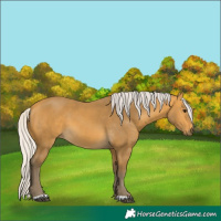 Horse Color:Silver Buckskin 