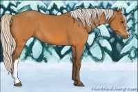 Horse Color:Silver Buckskin 