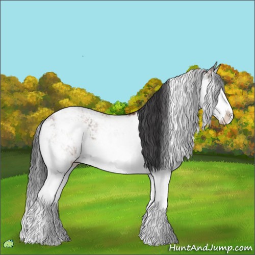 Horse Color:Platinum Brown Sabino Rabicano and Bay Sabino Splash Rabicano