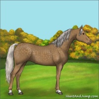 Horse Color:Silver Smoky Black 