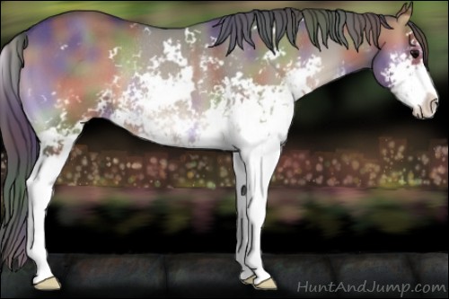 Horse Color:Nacre Grullo Onyx Sabino Rabicano 