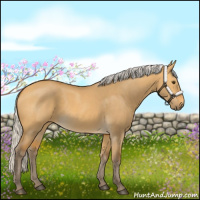 Horse Color:Silver Buckskin Dun