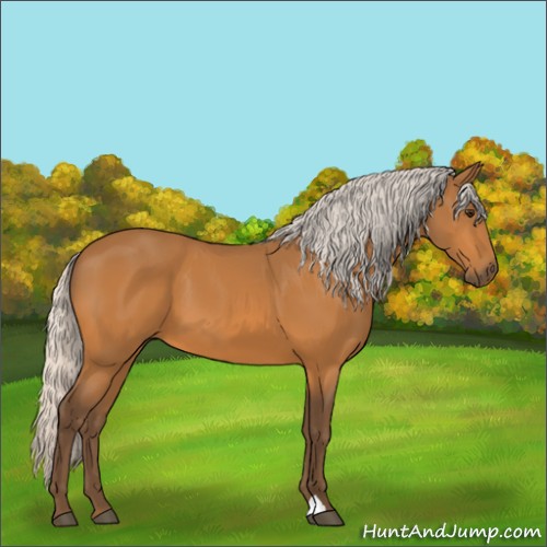 Horse Color:Silver Buckskin 