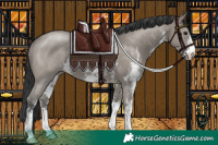 Horse Color:Grullo Sabino