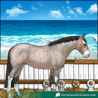 Horse Color:Brown Roan Sabino 