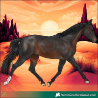 Horse Color:Brown 