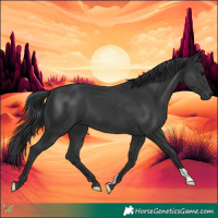 Horse Color:Black 