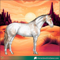 Horse Color:White Spotted Brown Pearl Sabino 