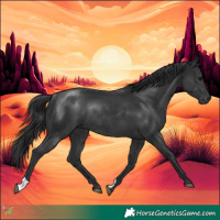 Horse Color:Black Rabicano 