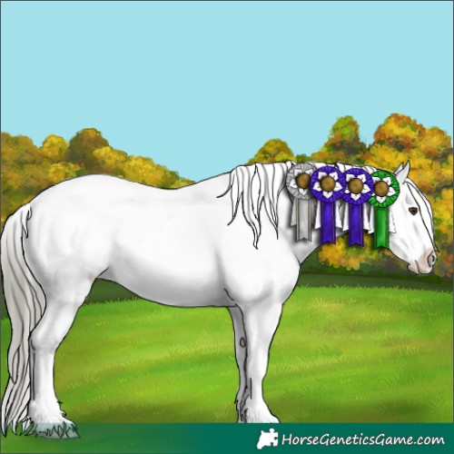 Horse Color:White Spotted Liver Chestnut Mushroom Snowflake Varnish