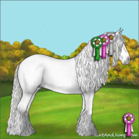 Horse Color:Gray White Spotted Liver Chestnut Mushroom Appaloosa