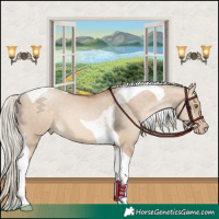 Horse Color:Silver Brown Pearl Dun Tobiano 