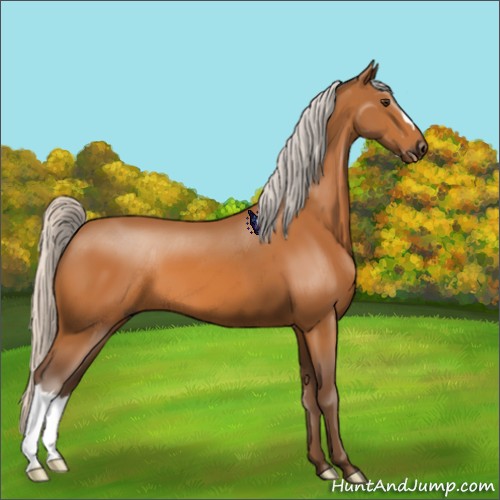 Horse Color:Silver Buckskin 