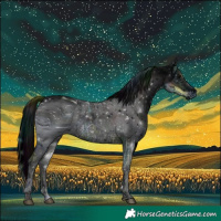 Horse Color:ERROR: UNKNOWN ANOMALY