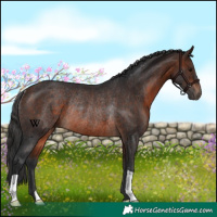Horse Color:Brown Rabicano 