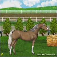 Horse Color:Silver Smoky Black 