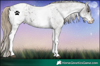 Horse Color:White Spotted Liver Red Roan Varnish