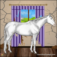 Horse Color:Silver Bay Appaloosa 