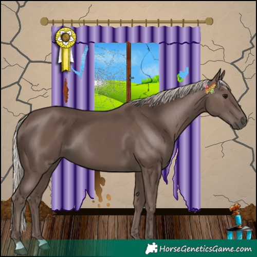 Horse Color:Silver Black 