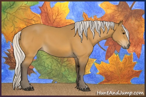 Horse Color:Silver Buckskin 