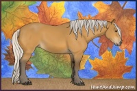 Horse Color:Silver Buckskin 