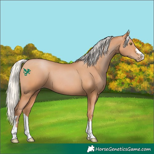 Horse Color:Silver Bay Pearl 