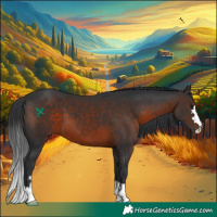 Horse Color:Brown 