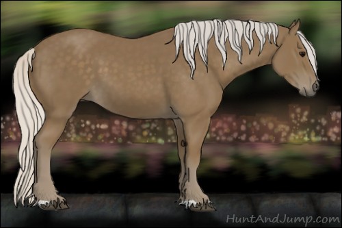 Horse Color:Silver Smoky Black 