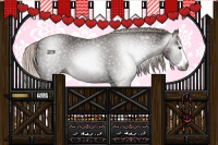 Horse Color:Gray Silver Black Splash