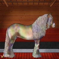 Horse Color:Nacre Silver Bay Onyx 