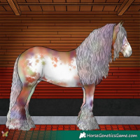 Horse Color:Nacre Silver Bay Onyx Frame 