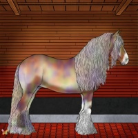 Horse Color:Nacre Silver Brown Onyx 