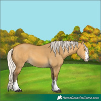 Horse Color:Silver Buckskin Dun 