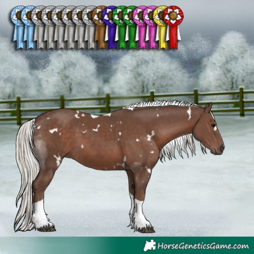 Horse Color:White Spotted Silver Black Tobiano 