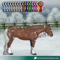 Horse Color:White Spotted Silver Black Tobiano 