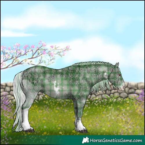 Horse Color:Watercolor Plaid  Silver Brown Chinchilla Ice Dun Sabino Tobiano 