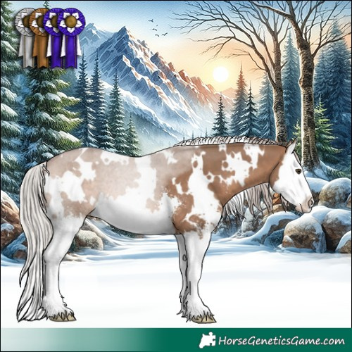 Horse Color:White Spotted Silver Brown Dun Sabino Splash 