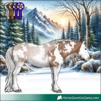 Horse Color:White Spotted Silver Brown Dun Sabino Splash