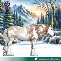 Horse Color:White Spotted Silver Brown Dun Sabino Splash 