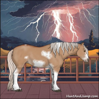 Horse Color:Silver Bay Dun Sabino Tobiano Frame Rabicano 