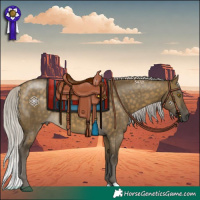 Horse Color:Silver Buckskin Dun 