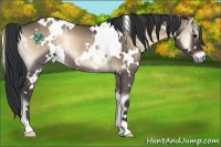 Horse Color:White Spotted Brown Onyx Rabicano 