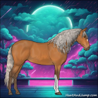 Horse Color:Silver Buckskin 