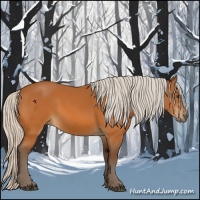 Horse Color:Silver Buckskin 